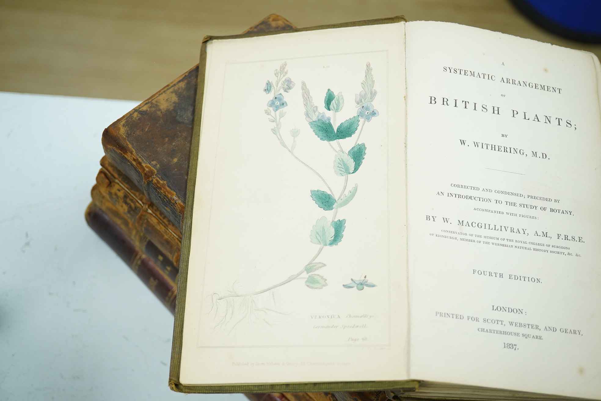 The Florist - Volume First. coloured plates and other illus.; old half calf and marbled boards. 1848; Hooker, William - The English Flora of Sir James Edward. class xxiv Cryptogamia (vol. V, Pt.1). old half calf and marb